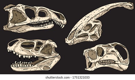 Dinosaurs on a blackboard hand drawn skulls colorful doodles set. Carnivorous and herbivorous fossils collection of images. Vector stock image