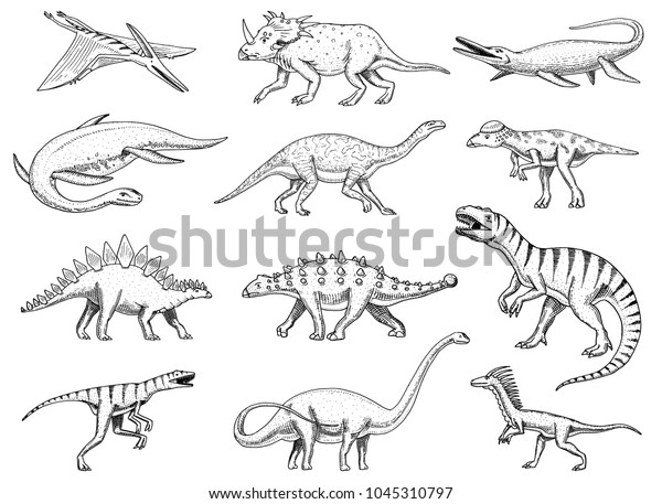 Dinosaurs Set Tyrannosaurus Rex Triceratops Barosaurus Stock Vector ...