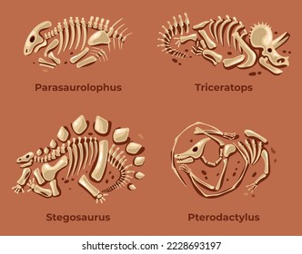 Dinosaurs skeleton fossil silhouettes paleontology archeology concept. Vector graphic design illustration element