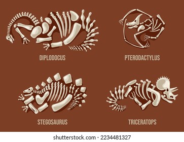 Dinosaurs skeleton with name text vector design graphic illustration element