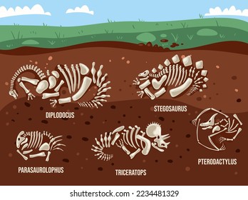Dinosaurs skeleton with name text vector design graphic illustration element