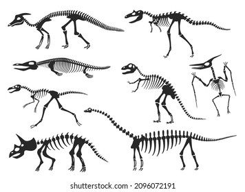 Dinosaurs skeleton silhouette, diplodocus, velociraptor, pterodactyl bones. Prehistoric dinosaur fossils, ancient animal skeletons vector set. Creatures for museum exhibition isolated on white