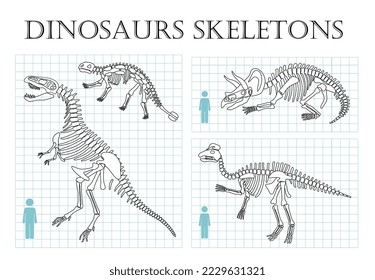 Dinosaurs skeletons line. Collection of graphic elements for website. Educational materials for children, bones and archeology. Cartoon flat vector illustrations isolated on white background