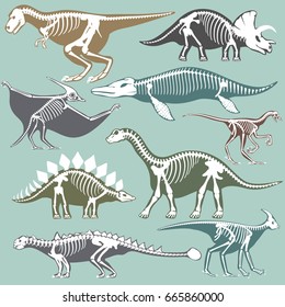 Dinosaurs skeletons silhouettes set fossil bone tyrannosaurus prehistoric animal dino bone vector flat illustration.