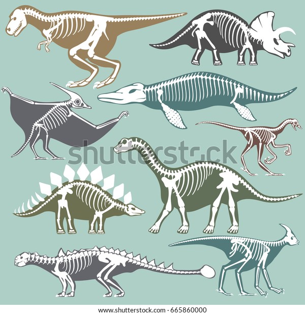恐竜の骨のシルエットは 化石の骨のティラノサウルス古代の動物の骨のベクター平面イラストを描いた のベクター画像素材 ロイヤリティフリー
