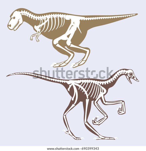Dinosaurs Skeletons Silhouettes Set Fossil Bone Stock Vector (Royalty ...