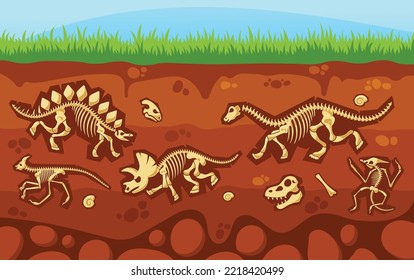 Dinosaurs Skeletons Underground Cross Section View. Buried Fossils, Snails Shells, Paleontology Finds. Bones Of Prehistoric Reptiles And Ammonites On Soil Layer Background. Cartoon Vector Illustration