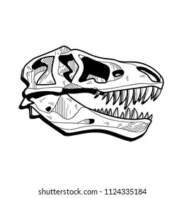 Dinosaurs skull drawing