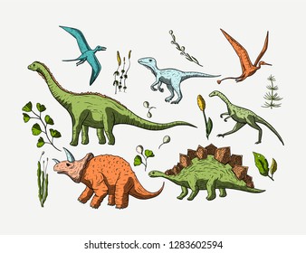 Dinosaurs Species Set. Jurassic and Cretaceous animal collection. Prehistoric vector dino icon set.