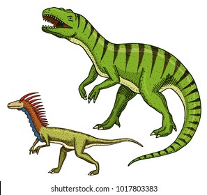 Dinosaurs Tyrannosaurus rex, Velociraptor, Ceratosaurus, Afrovenator, Megalosaurus, Tarbosaurus, Struthiomimus skeletons, fossils. Prehistoric reptiles, Animal engraved Hand drawn vector