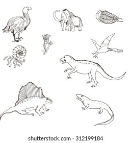 dinosaurs. Vector illustration