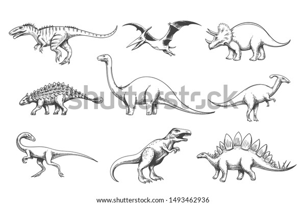 ディノサウルの捕食動物 白い背景にベクター恐竜 ヴェロキラプターとアロサウルス ブロントサウルスとプテラノドンのイラスト 絶滅の可愛い動物 のベクター画像素材 ロイヤリティフリー 1493462936
