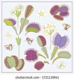 Dionaea muscipula hand draw vector 