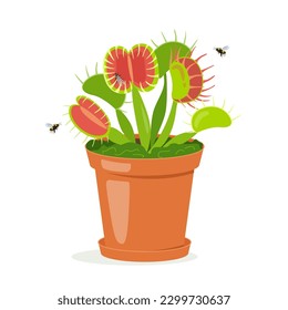 Dionaea muscipula, Venus flytrap in a pot with insects . Vector flat illustration isolated on white background