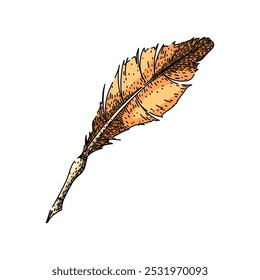 Pluma de pluma de inmersión dibujada a mano. Pergamino de pergamino, manuscrito antiguo, vintage Scribe Pluma de inmersión Pluma Vector boceto. ilustración a color aislado