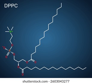 Dipalmitoylphosphatidylcholine, DPPC molecule. Natural phospholipid present in pulmonary surfactant. Structural chemical formula, dark blue background. Vector illustration