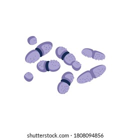 Diplobacillus oder Staphylococcus bakterielle Mikroorganismen. Mikroskopisch sphärische Stabförmige Bakterien, Konzeption der medizinischen Versorgung, Vektorgrafik einzeln auf weißem Hintergrund