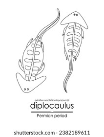 Diplocaulus, a Permian period prehistoric primitive amphibian lepospondyl, black and white line art. Perfect for coloring and educational purposes