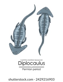 Diplocaulus, un lepospondilo de anfibio primitivo prehistórico del período pérmico. Ilustración colorida sobre un fondo blanco