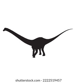 Diplodocus Dinosaur Vector Illustration Silhouette