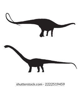 Diplodocus Dinosaur Vector Illustration Silhouette