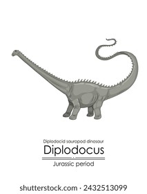 Diplodocus, a Jurassic period diplodocid sauropod dinosaur. Herbivorous creature characterized by its long neck and tail