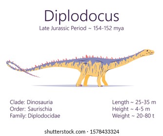 Diplodocus. Sauropodomorpha dinosaur. Colorful vector illustration of prehistoric creature diplodocus and description of characteristics and period of life isolated on white background. Fossil dino.