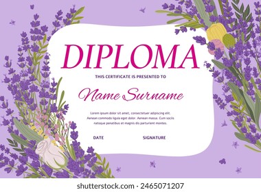 Diploma with lavender flowers for education certificate or appreciation award, vector background template. Certificate award with Provence lavender, tulip and roses in floral bunch for class workshop