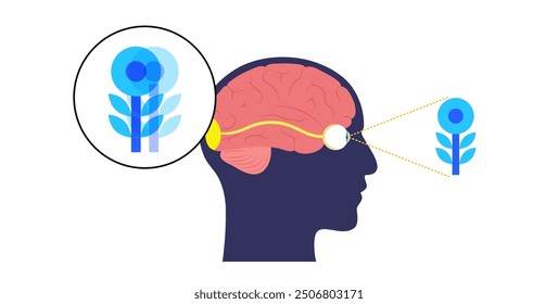 Diplopia medical poster. Double vision disease, eye muscle weakness or nerve damage. Simultaneous perception of two images of a single object. Connection with human brain and eye vector illustration