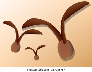 Dipterocarpus alatus, wing seed vector