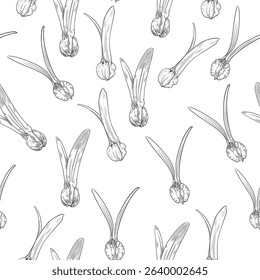 Dipterocarpus flower seamless pattern illustration, Vector illustration.
