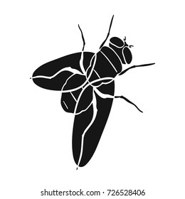 Dipterous insect fly.Dipterous insect fly single icon in black style vector symbol stock isometric illustration web.