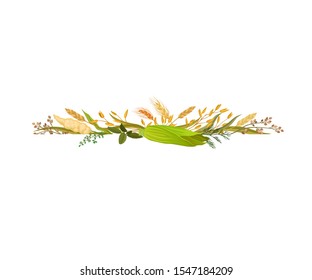 Direct compositions from different ears and a closed corn cob. Vector illustration.