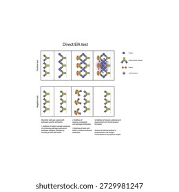 Direct EIA (ELISA) test diagram illustrating antigen detection using enzyme-labeled antibodies, colorimetric signal generation, and quantitative diagnostic results