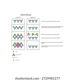 Direct EIA (ELISA) test diagram illustrating antigen detection using enzyme-labeled antibodies, colorimetric signal generation, and quantitative diagnostic results