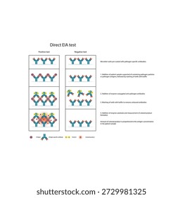 Direct EIA (ELISA) test diagram illustrating antigen detection using enzyme-labeled antibodies, colorimetric signal generation, and quantitative diagnostic results