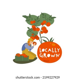 Directamente desde la granja. Tomates locales de primera calidad. Comida orgánica, pegatina de cultivo. Emblema ecológico para la producción local de verduras. Ilustración del vector aislada en un fondo blanco