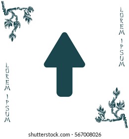 Direction arrow up icon isolated