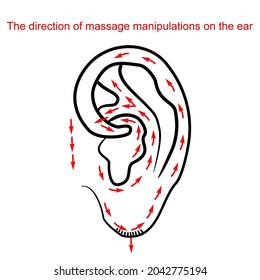 The direction of massage manipulations on the ear. Medical poster. Vector graphics on white background