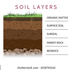 Dirt layers. Soil layer scheme with grass and roots, earth texture and stones vector illustration