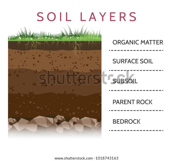 汚れの層 草と根 土のテクスチャー 石のベクターイラストを使った土層図 のベクター画像素材 ロイヤリティフリー 1018743163