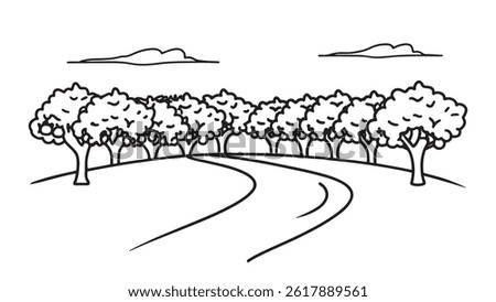 Dirt road winding through a lush olive grove, with trees lining both sides under a clear blue skyline art flat vector illustration.