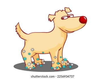 Perro de caricatura sucio. parásitos, virus, microbios, infecciones bacterianas en animales. Enfermedad contagiosa, gérmenes, patógenos en mascota. Enfermedad de Lyme, cestodos, leptospirosis, bacteria. Vector de ilustración