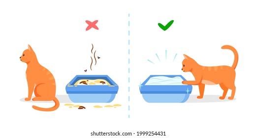 Dirty And Clean Cat Litter Box. Wrong And Right Way To Maintain Pet Toilet. Pet Toilet Hygiene Concept. Vector Illustration