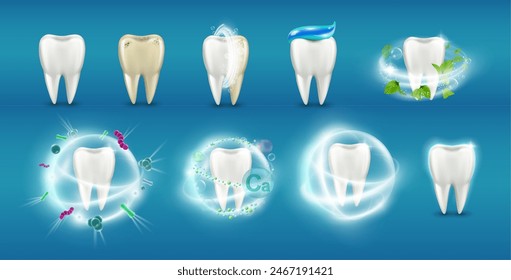 Dirty and clean tooth, isolated set of realistic teeth with food dirt. Vector protection and hygiene of dents, dentist clinic help. Brushing teeth and flossing, defense from harmful bacteria