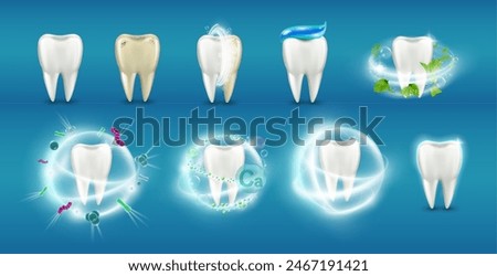 Dirty and clean tooth, isolated set of realistic teeth with food dirt. Vector protection and hygiene of dents, dentist clinic help. Brushing teeth and flossing, defense from harmful bacteria