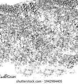 Dirty grunge background. The monochrome texture is old. Vintage worn pattern. The surface is covered with scratches