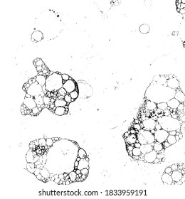 Dirty grunge vector background  texture in black and white