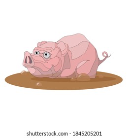 dirty but happy as a pig