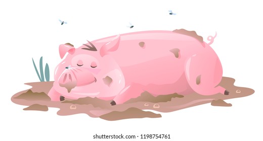 Dirty Pig Sleeps in Mud